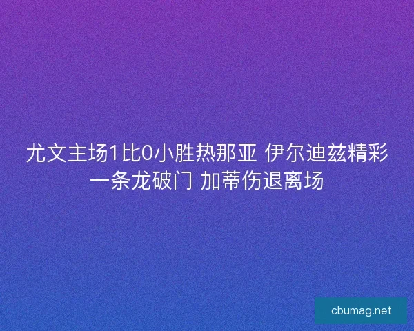 尤文主场1比0小胜热那亚 伊尔迪兹精彩一条龙破门 加蒂伤退离场 尤文主场1比0小胜热那亚 伊尔迪兹精彩一条龙破门 加蒂伤退离场